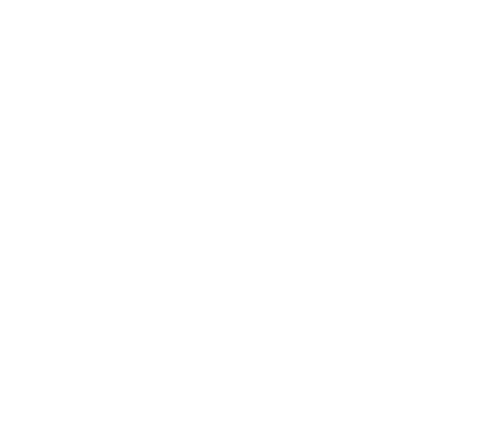 RT-Bolt white logo medium